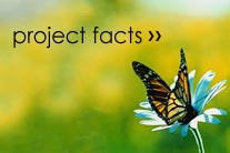 project facts